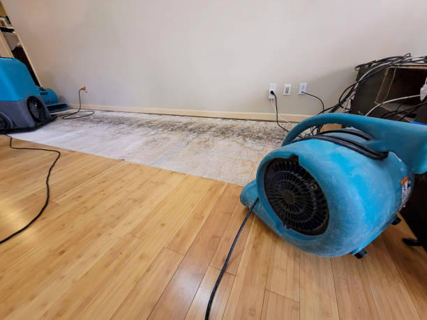 Reliable Water Extraction contractor in Santa Fe, NM by Hirex Water Damage